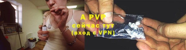 крисы Осташков