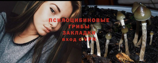 стафф Белокуриха