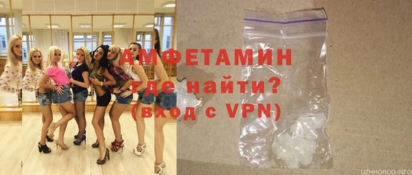 метадон Богданович